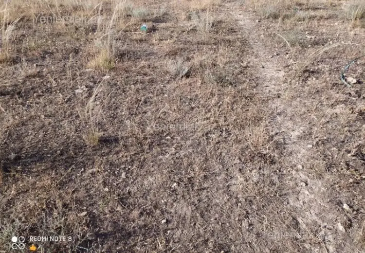 180 sot Torpaq Satılır, Masazır, Abşeron