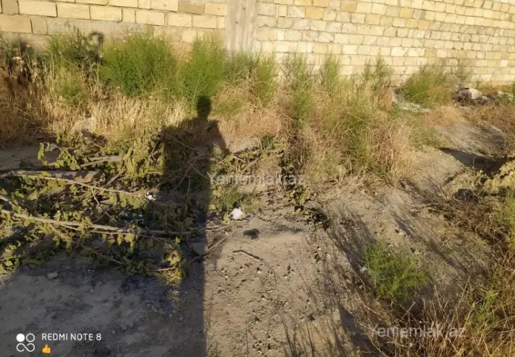 180 sot Torpaq Satılır, Masazır, Abşeron