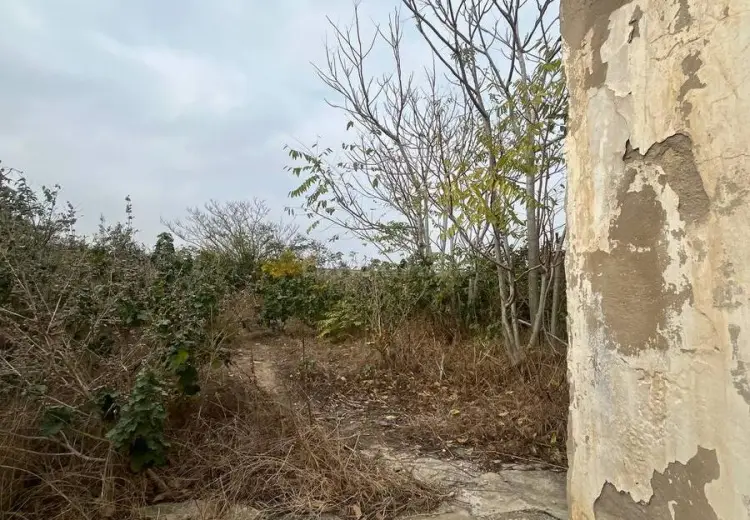 12 sot Torpaq Satılır, Mərdəkan, Xəzər, Bakı