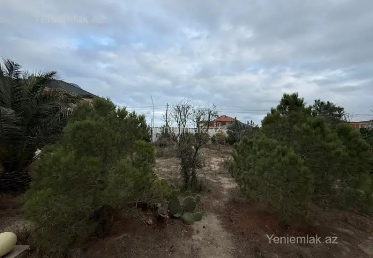 25 sot Torpaq Satılır, Şüvəlan, Xəzər, Bakı