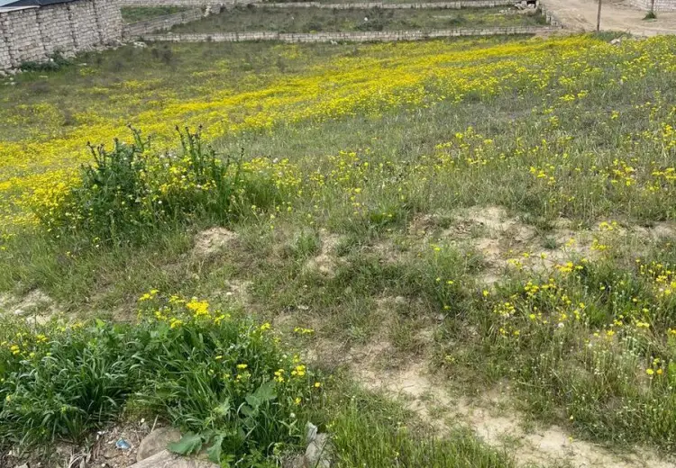 10 sot Torpaq Satılır, Dübəndi, Xəzər, Bakı
