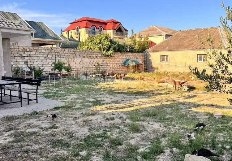 5 sot Torpaq Satılır, Biləcəri qəs., Binəqədi, Bakı