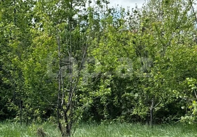 3 otaqlı mənzil , Qusar