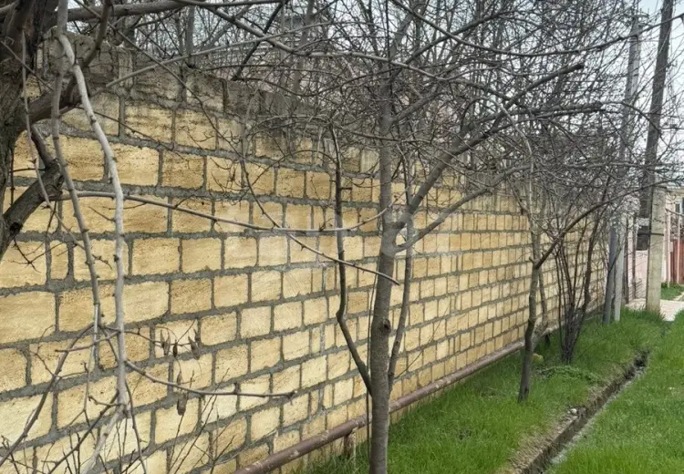 0 m² Obyekt / Ofis , Qusar