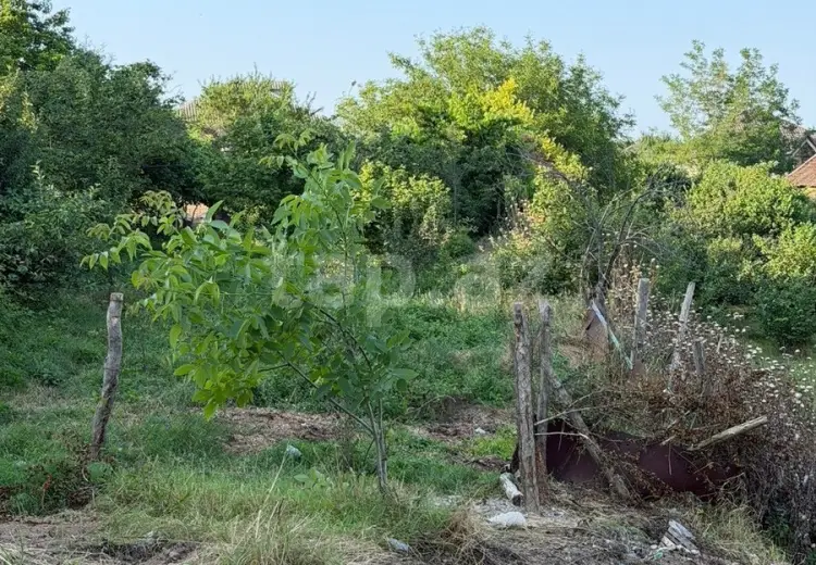 0 m² Obyekt / Ofis , Qusar