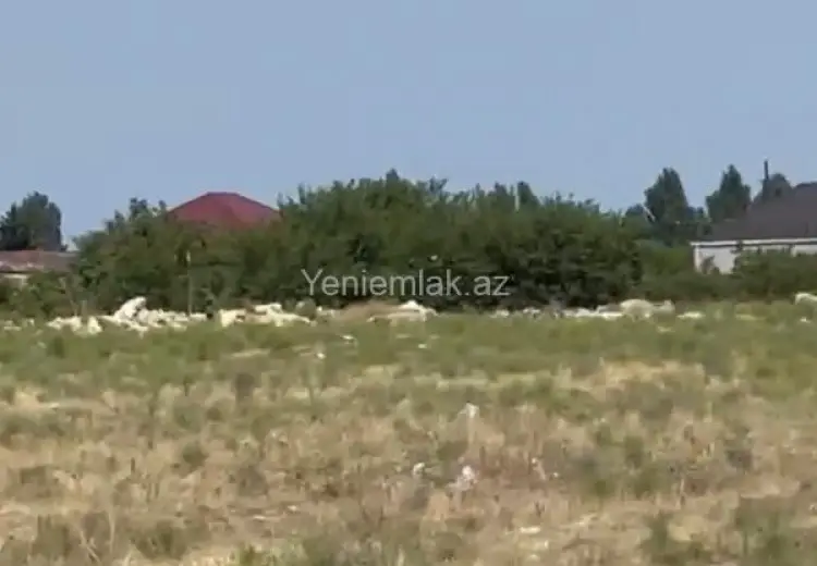 550 sot Torpaq Satılır, Albalı qəs., Sabunçu, Bakı