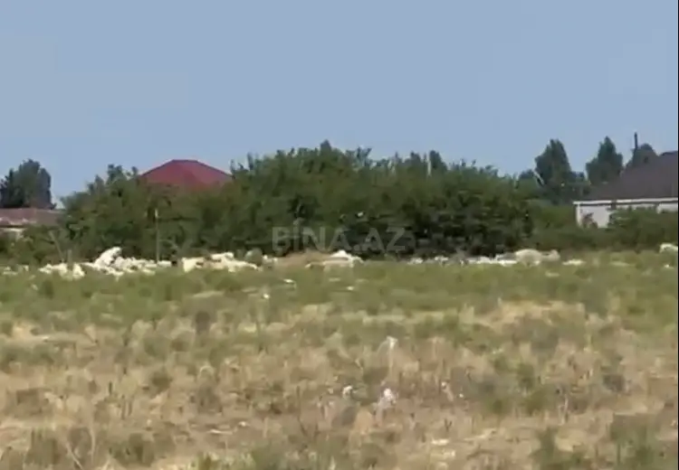550 sot Torpaq Satılır, Sabunçu, Bakı
