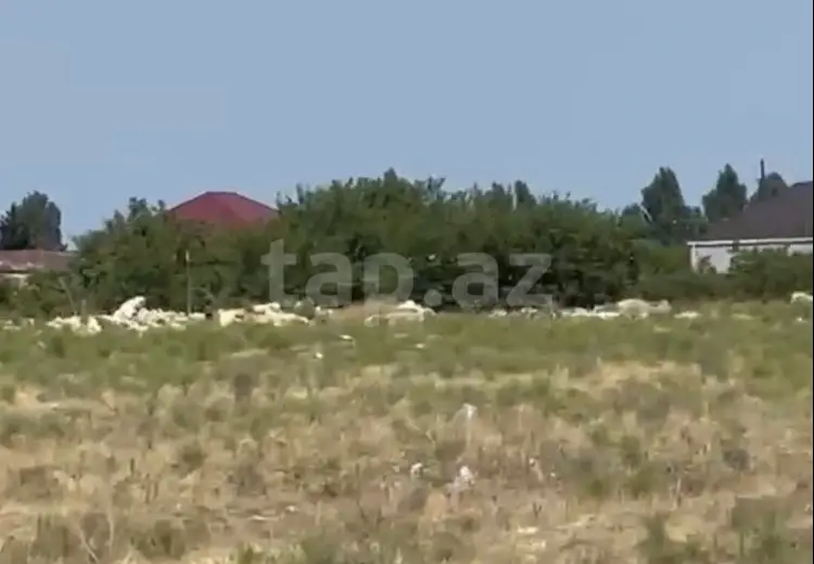 0 m² Obyekt / Ofis , Buzovna, Xəzər, Bakı