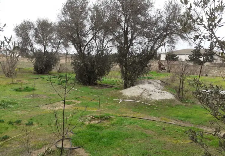 12 sot Torpaq Satılır, Bilgəh qəs., Sabunçu, Bakı