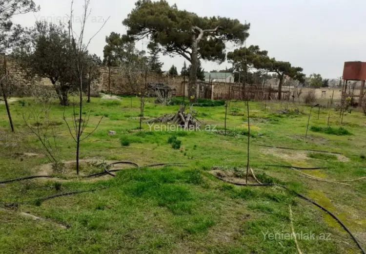 12 sot Torpaq Satılır, Bilgəh qəs., Sabunçu, Bakı