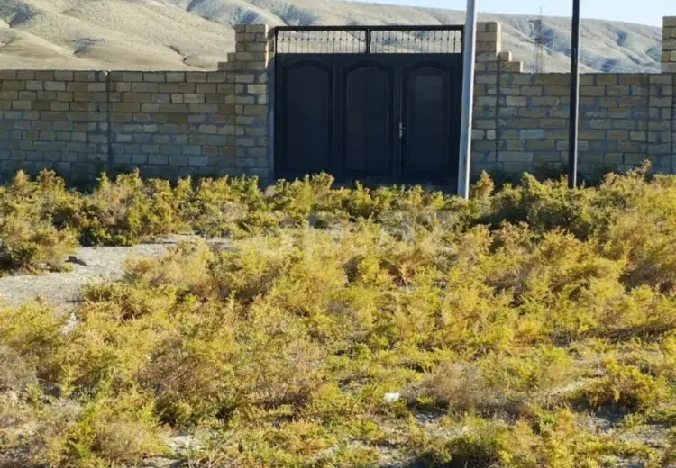 0 m² Obyekt / Ofis , Pirəküşkül, Abşeron
