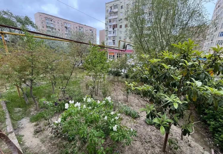 3 otaqlı mənzil , Sumqayıt