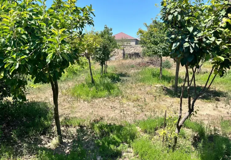 3 sot Torpaq Satılır, Hövsan qəs., Suraxanı, Bakı