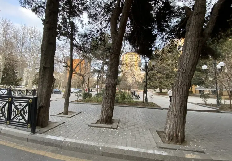 30 m² Obyekt / Ofis Satılır, Nəsimi, Bakı