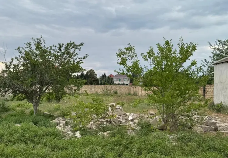 8 sot Torpaq Satılır, Novxanı, Abşeron