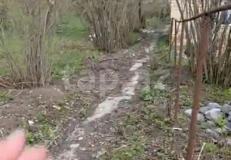 3 otaqlı mənzil , Qəbələ