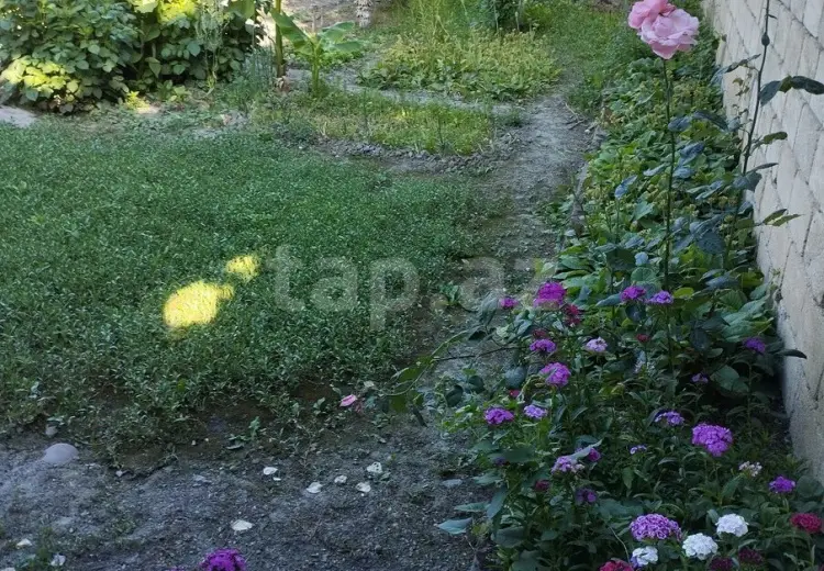 3 otaqlı mənzil , Xudat