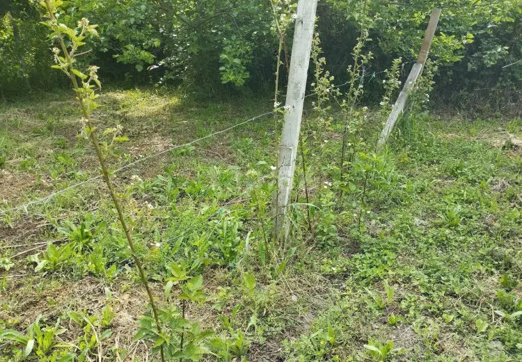 3 otaqlı mənzil , Xudat