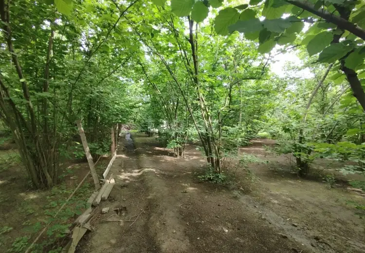 3 otaqlı mənzil , Xudat
