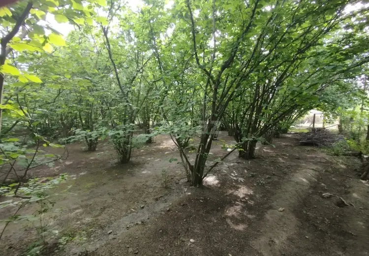 3 otaqlı mənzil , Xudat
