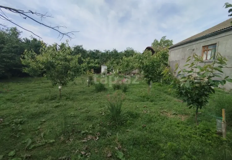 3 otaqlı mənzil , Xudat