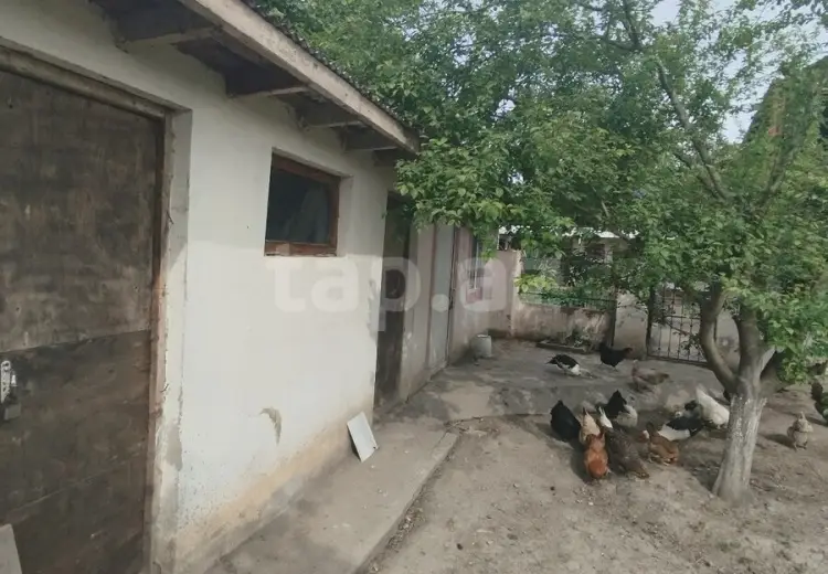 3 otaqlı mənzil , Xudat