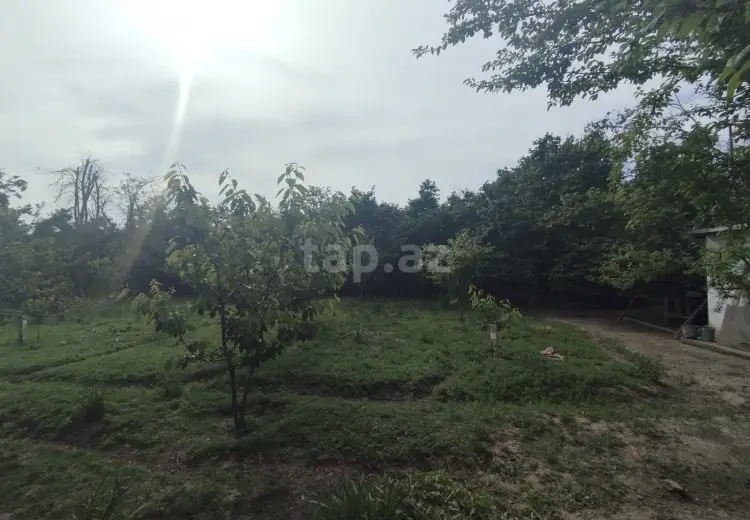 3 otaqlı mənzil , Xudat