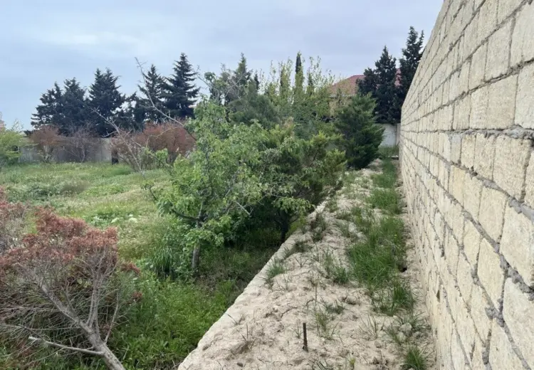 9 sot Torpaq Satılır, Goradil, Abşeron
