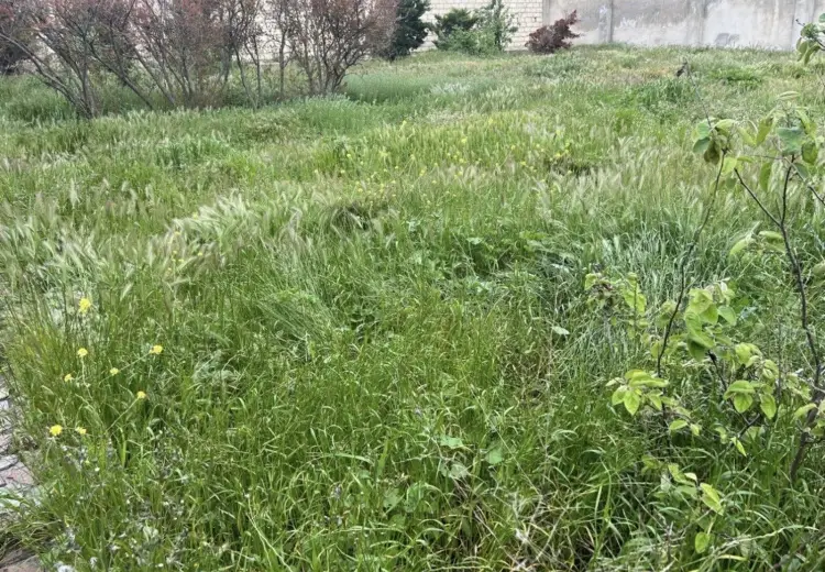 9 sot Torpaq Satılır, Goradil, Abşeron