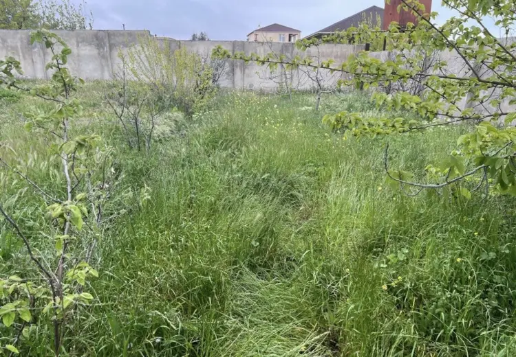 9 sot Torpaq Satılır, Goradil, Abşeron