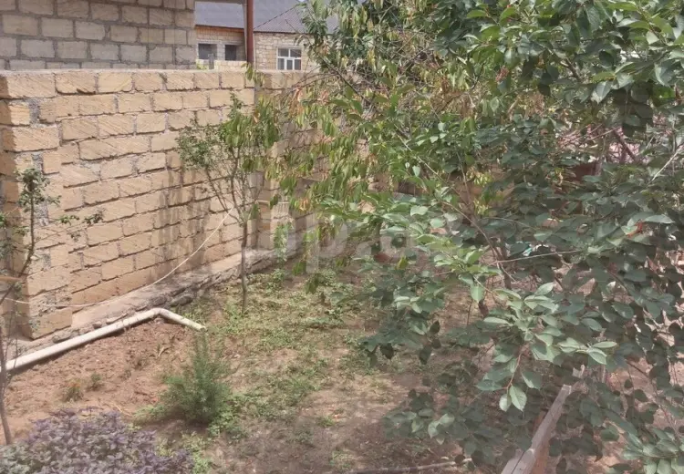 3 otaqlı mənzil , Gəncə