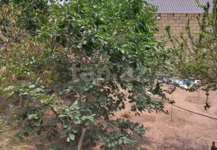 3 otaqlı mənzil , Gəncə