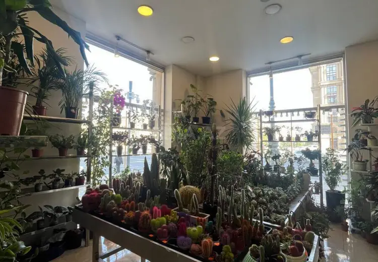 30 m² Obyekt / Ofis Kirayə (aylıq), Nərimanov, Bakı