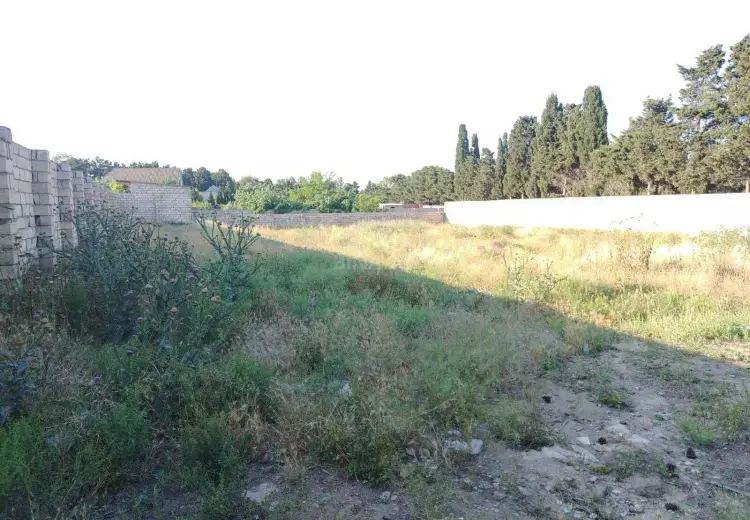 24 sot Torpaq Satılır, Nardaran qəs., Sabunçu, Bakı