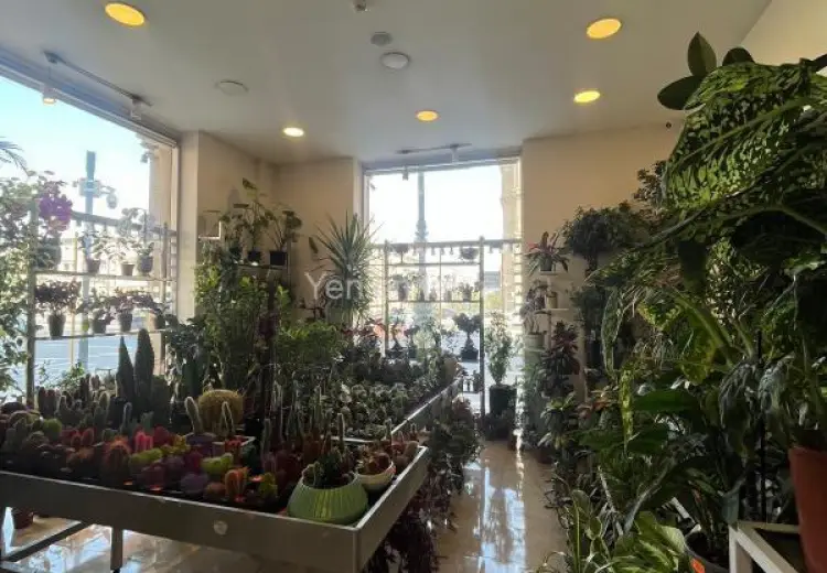 30 m² Obyekt / Ofis Kirayə (aylıq), Nərimanov, Bakı