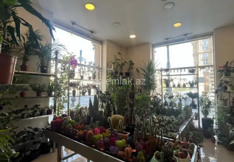 30 m² Obyekt / Ofis Kirayə (aylıq), Nərimanov, Bakı