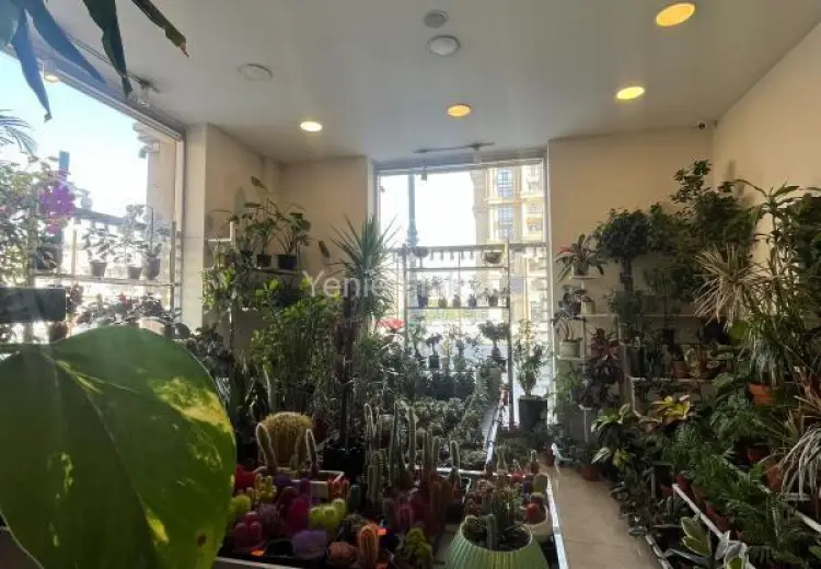 30 m² Obyekt / Ofis Kirayə (aylıq), Nərimanov, Bakı