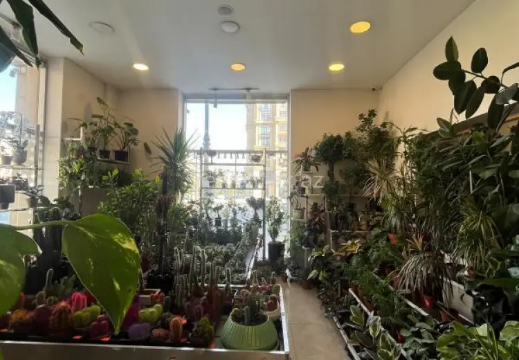 30 m² Obyekt / Ofis Kirayə (aylıq), Nərimanov, Bakı
