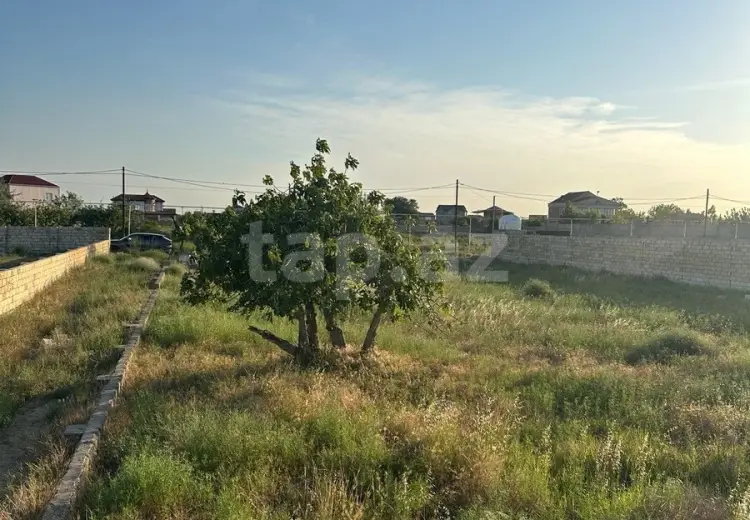 0 m² Obyekt / Ofis , Nardaran qəs., Sabunçu, Bakı