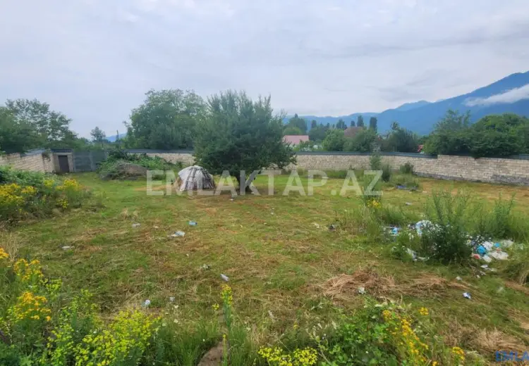 12 sot Torpaq Satılır, Qəbələ