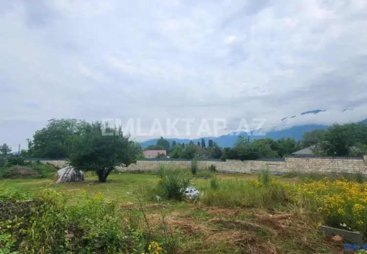12 sot Torpaq Satılır, Qəbələ