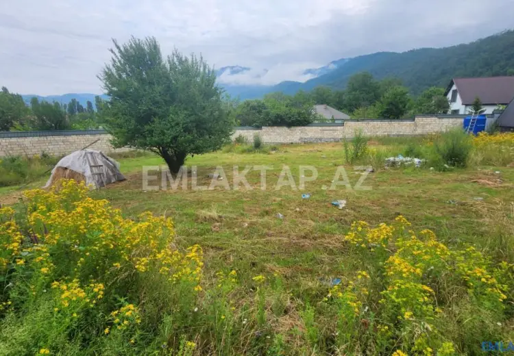 12 sot Torpaq Satılır, Qəbələ