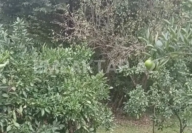 35 sot Torpaq Satılır, Ağstafa