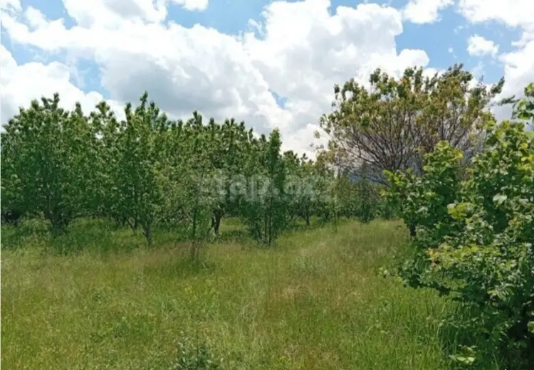 0 m² Obyekt / Ofis , Quba