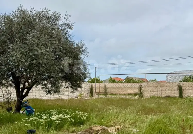 0 m² Obyekt / Ofis , Albalı qəs., Sabunçu, Bakı