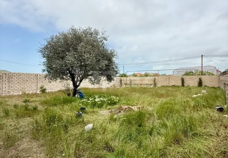 0 m² Obyekt / Ofis , Albalı qəs., Sabunçu, Bakı