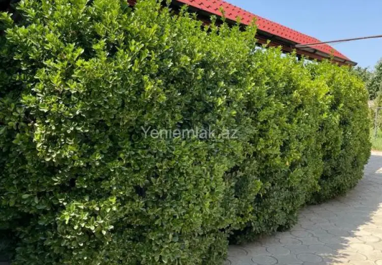 7 otaqlı mənzil Satılır, Quba