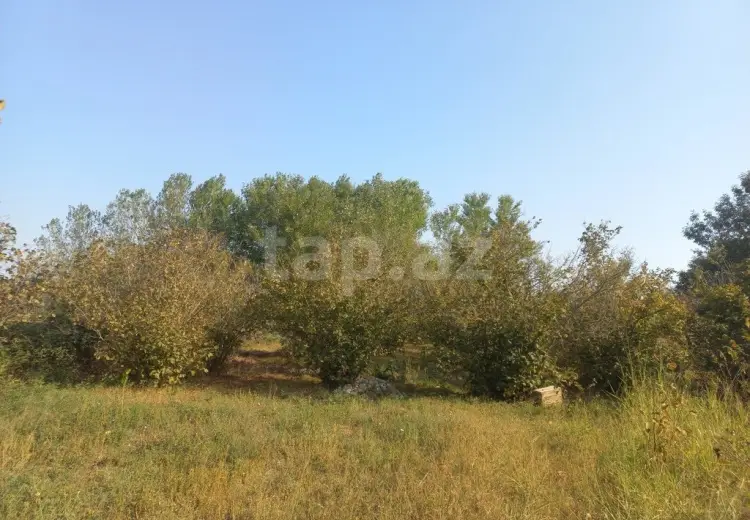 0 m² Obyekt / Ofis , Xaçmaz