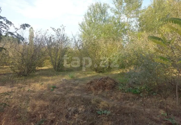 0 m² Obyekt / Ofis , Xaçmaz