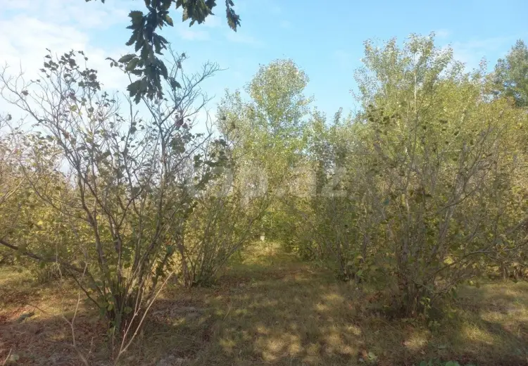 0 m² Obyekt / Ofis , Xaçmaz